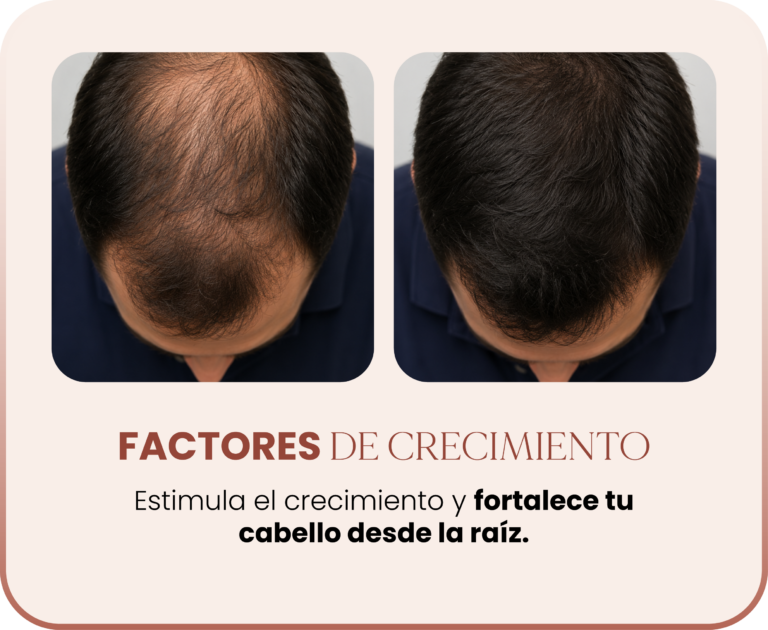 SERVICIOS_FACTORES DE C